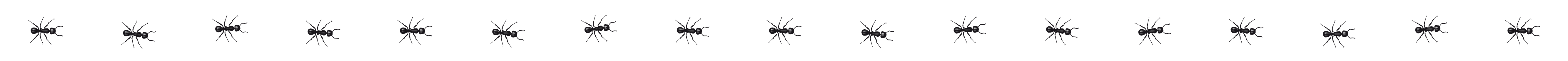 Bug Texture