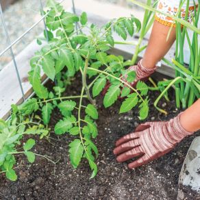 Gardening