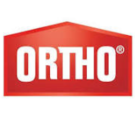 Ortho